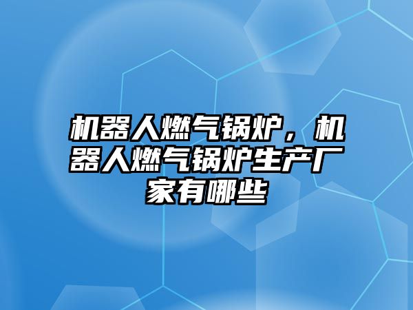 機器人燃氣鍋爐，機器人燃氣鍋爐生產廠家有哪些