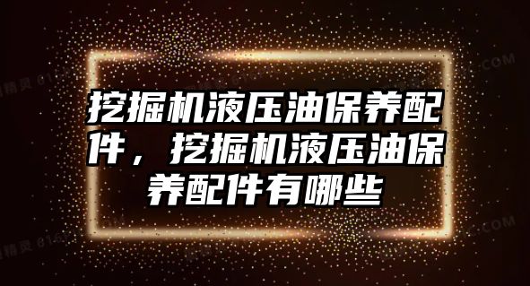 挖掘機液壓油保養(yǎng)配件，挖掘機液壓油保養(yǎng)配件有哪些