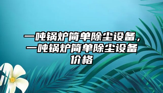 一噸鍋爐簡(jiǎn)單除塵設(shè)備，一噸鍋爐簡(jiǎn)單除塵設(shè)備價(jià)格