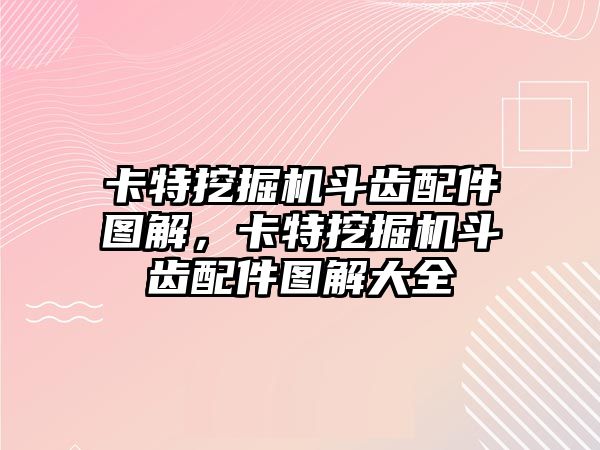 卡特挖掘機(jī)斗齒配件圖解，卡特挖掘機(jī)斗齒配件圖解大全