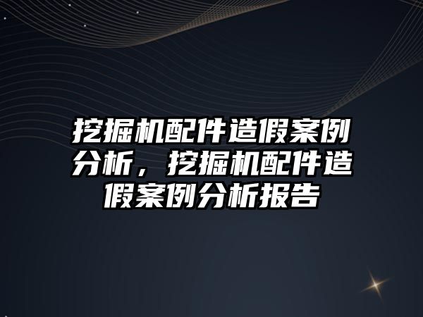 挖掘機配件造假案例分析，挖掘機配件造假案例分析報告