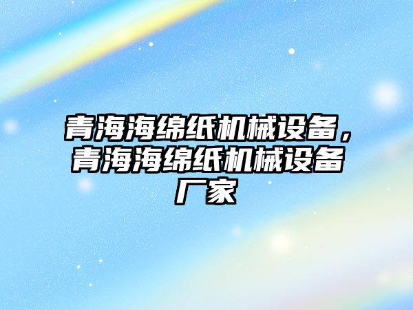 青海海綿紙機械設備，青海海綿紙機械設備廠家