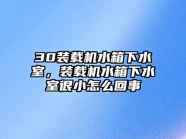 30裝載機水箱下水室，裝載機水箱下水室很小怎么回事