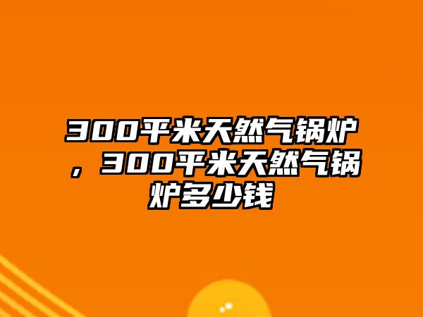 300平米天然氣鍋爐，300平米天然氣鍋爐多少錢