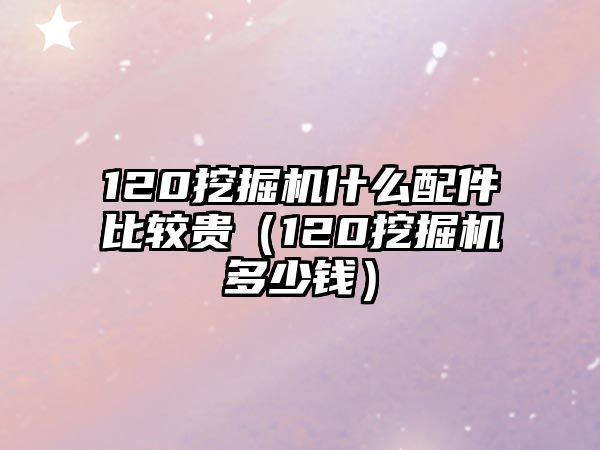 120挖掘機什么配件比較貴（120挖掘機多少錢）