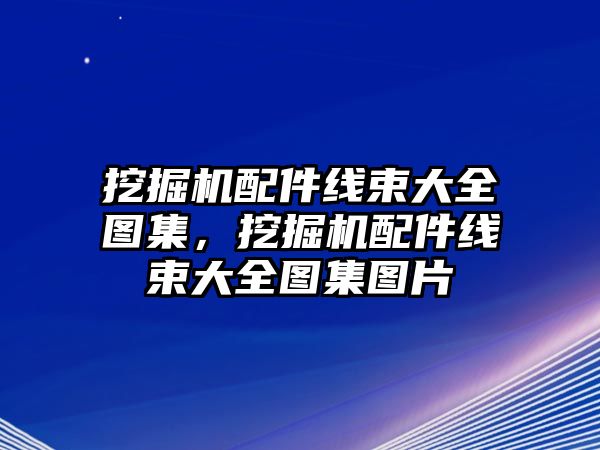 挖掘機配件線束大全圖集，挖掘機配件線束大全圖集圖片