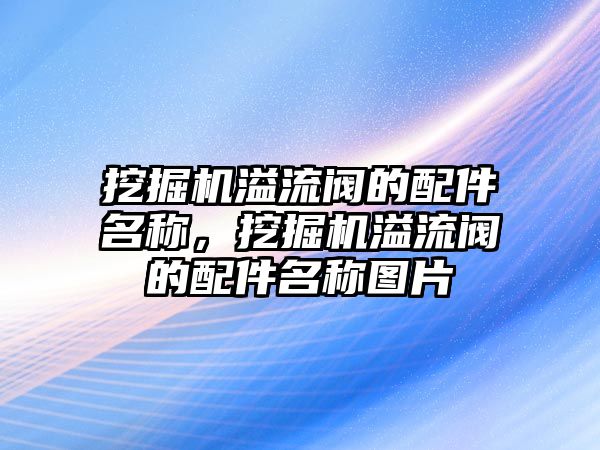 挖掘機(jī)溢流閥的配件名稱，挖掘機(jī)溢流閥的配件名稱圖片