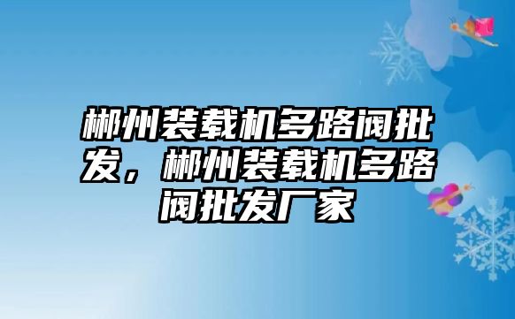 郴州裝載機(jī)多路閥批發(fā)，郴州裝載機(jī)多路閥批發(fā)廠家