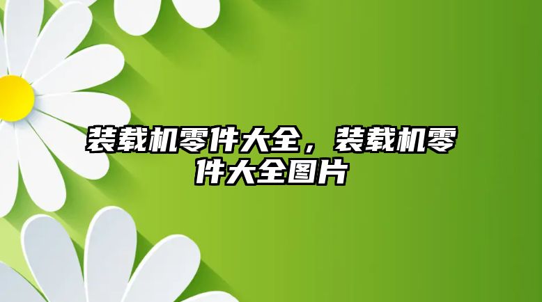 裝載機零件大全，裝載機零件大全圖片