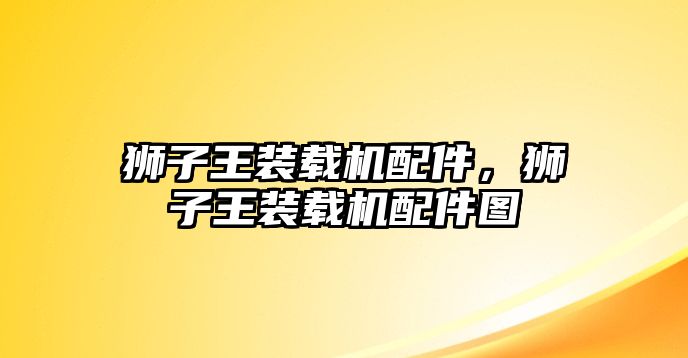 獅子王裝載機配件，獅子王裝載機配件圖