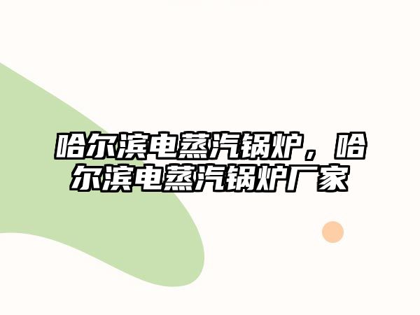 哈爾濱電蒸汽鍋爐，哈爾濱電蒸汽鍋爐廠家