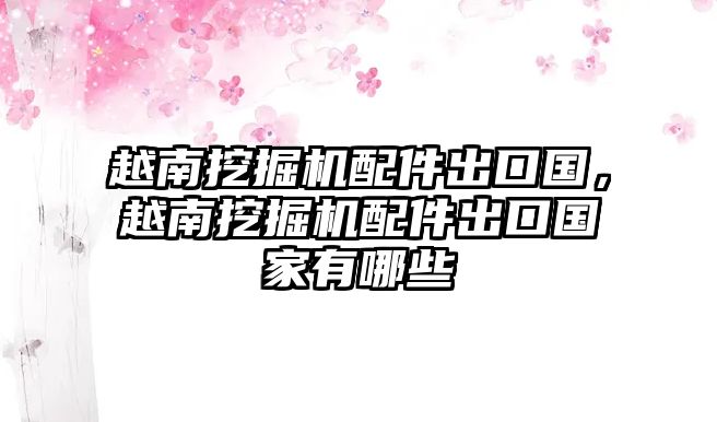 越南挖掘機配件出口國，越南挖掘機配件出口國家有哪些