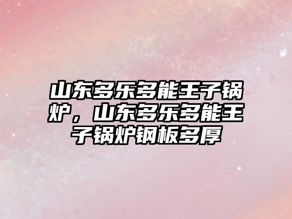 山東多樂多能王子鍋爐，山東多樂多能王子鍋爐鋼板多厚