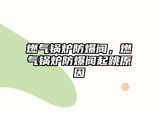 燃?xì)忮仩t防爆閥，燃?xì)忮仩t防爆閥起跳原因