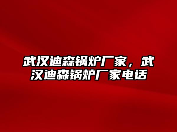 武漢迪森鍋爐廠家，武漢迪森鍋爐廠家電話