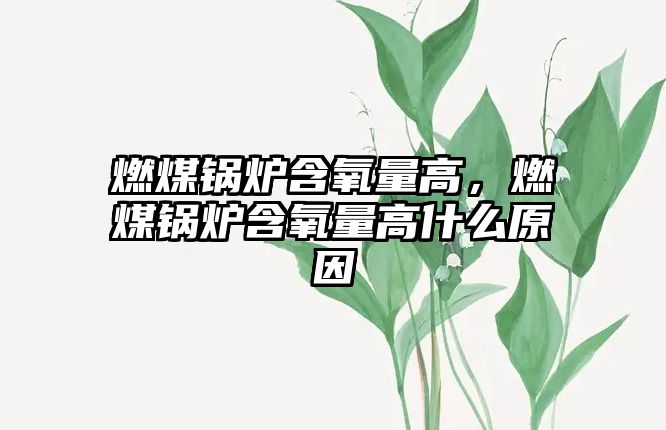 燃煤鍋爐含氧量高，燃煤鍋爐含氧量高什么原因