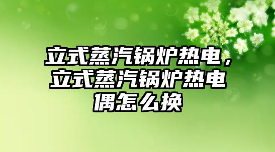 立式蒸汽鍋爐熱電，立式蒸汽鍋爐熱電偶怎么換