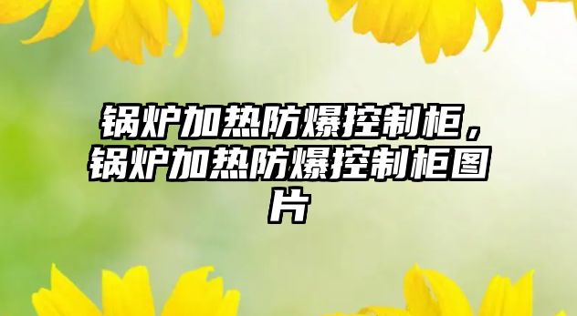 鍋爐加熱防爆控制柜，鍋爐加熱防爆控制柜圖片