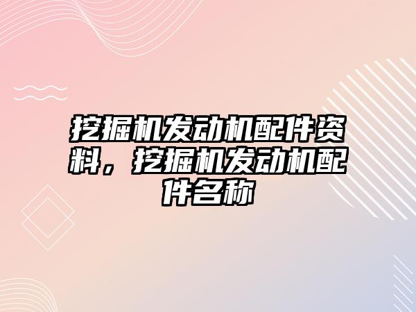 挖掘機發(fā)動機配件資料，挖掘機發(fā)動機配件名稱