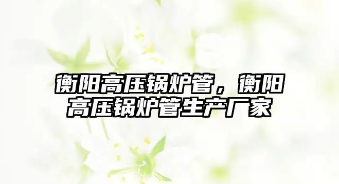 衡陽高壓鍋爐管，衡陽高壓鍋爐管生產(chǎn)廠家