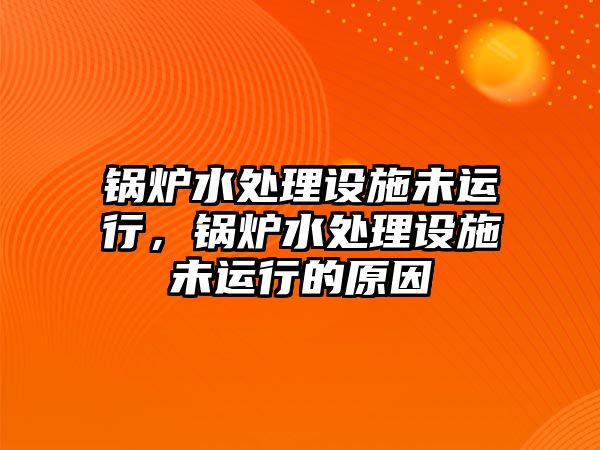 鍋爐水處理設施未運行，鍋爐水處理設施未運行的原因