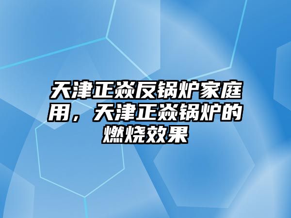 天津正焱反鍋爐家庭用，天津正焱鍋爐的燃燒效果