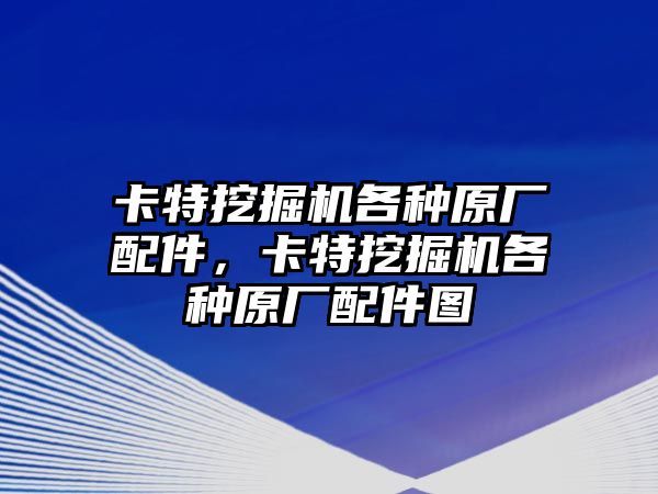 卡特挖掘機(jī)各種原廠配件，卡特挖掘機(jī)各種原廠配件圖