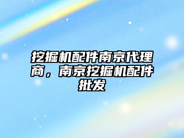 挖掘機配件南京代理商，南京挖掘機配件批發(fā)