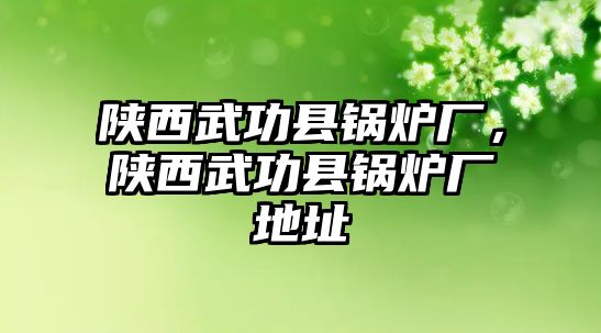 陜西武功縣鍋爐廠，陜西武功縣鍋爐廠地址