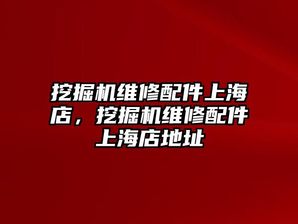 挖掘機(jī)維修配件上海店，挖掘機(jī)維修配件上海店地址