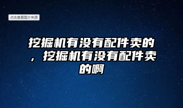 挖掘機有沒有配件賣的，挖掘機有沒有配件賣的啊