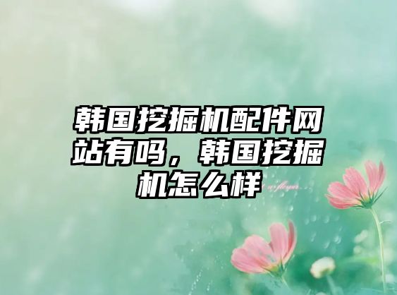 韓國挖掘機(jī)配件網(wǎng)站有嗎，韓國挖掘機(jī)怎么樣