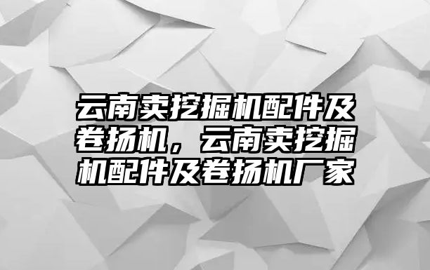 云南賣挖掘機配件及卷揚機，云南賣挖掘機配件及卷揚機廠家