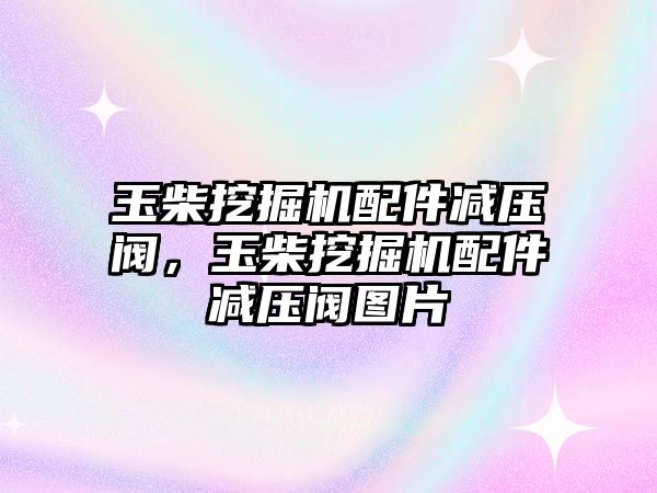 玉柴挖掘機配件減壓閥，玉柴挖掘機配件減壓閥圖片