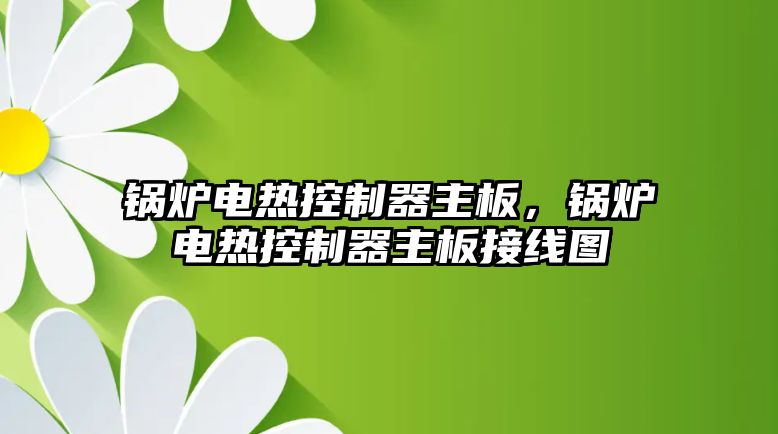 鍋爐電熱控制器主板，鍋爐電熱控制器主板接線圖