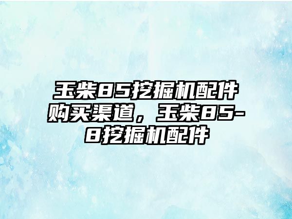 玉柴85挖掘機(jī)配件購(gòu)買(mǎi)渠道，玉柴85-8挖掘機(jī)配件