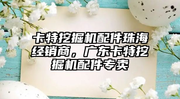 卡特挖掘機配件珠海經銷商，廣東卡特挖掘機配件專賣