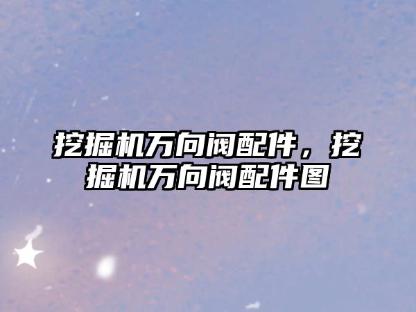 挖掘機萬向閥配件，挖掘機萬向閥配件圖