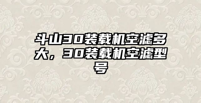 斗山30裝載機空濾多大，30裝載機空濾型號