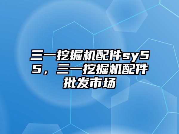 三一挖掘機(jī)配件sy55，三一挖掘機(jī)配件批發(fā)市場(chǎng)