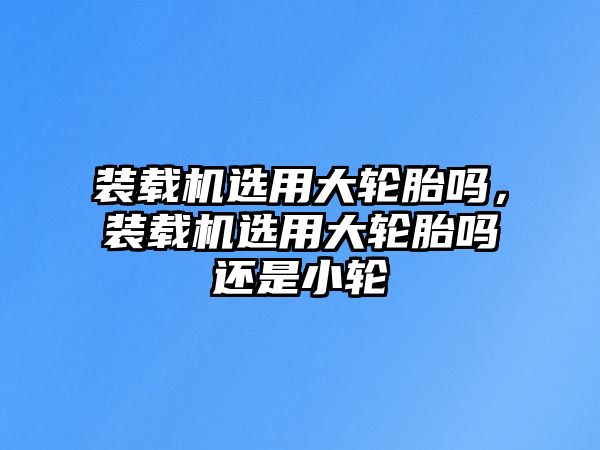 裝載機選用大輪胎嗎，裝載機選用大輪胎嗎還是小輪