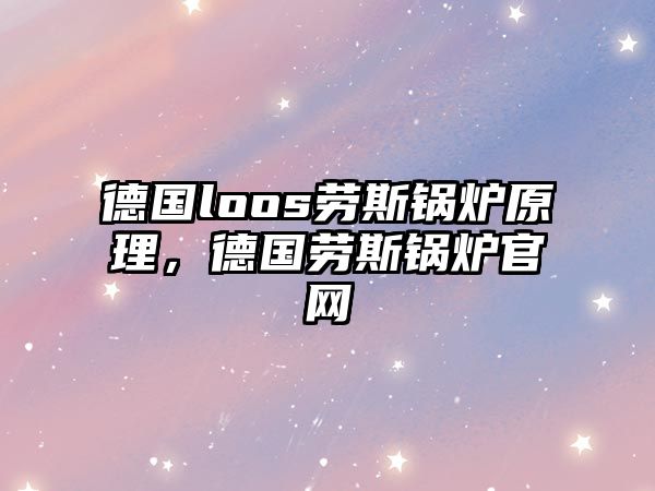 德國loos勞斯鍋爐原理，德國勞斯鍋爐官網(wǎng)