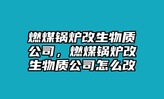 燃煤鍋爐改生物質(zhì)公司，燃煤鍋爐改生物質(zhì)公司怎么改