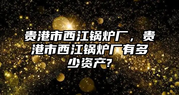 貴港市西江鍋爐廠，貴港市西江鍋爐廠有多少資產(chǎn)?