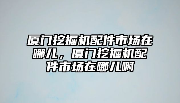 廈門挖掘機配件市場在哪兒，廈門挖掘機配件市場在哪兒啊