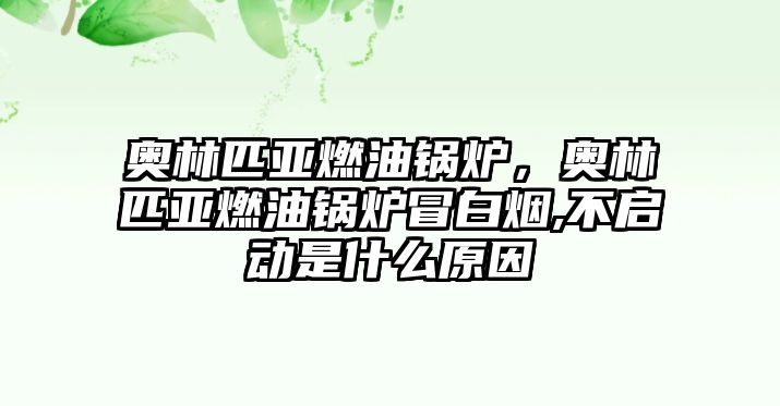 奧林匹亞燃油鍋爐，奧林匹亞燃油鍋爐冒白煙,不啟動是什么原因