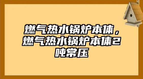 燃氣熱水鍋爐本體，燃氣熱水鍋爐本體2噸常壓