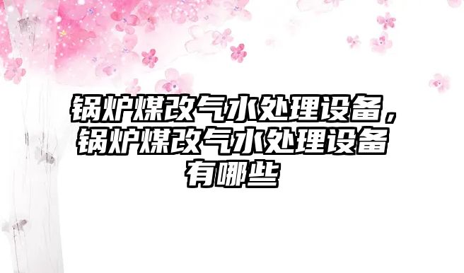 鍋爐煤改氣水處理設(shè)備，鍋爐煤改氣水處理設(shè)備有哪些