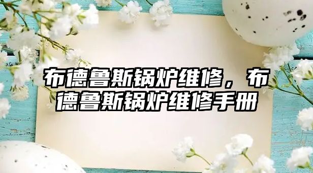 布德魯斯鍋爐維修，布德魯斯鍋爐維修手冊