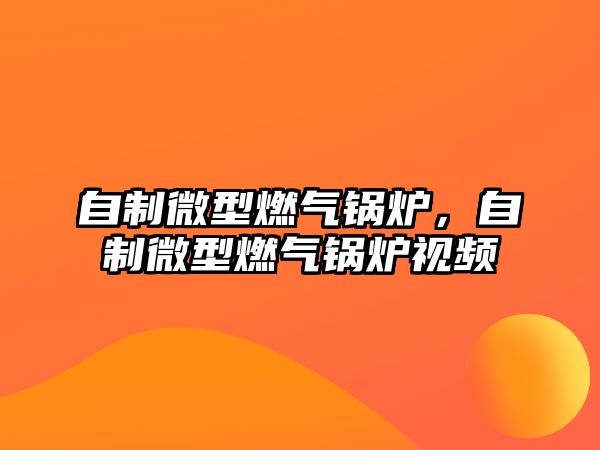 自制微型燃?xì)忮仩t，自制微型燃?xì)忮仩t視頻